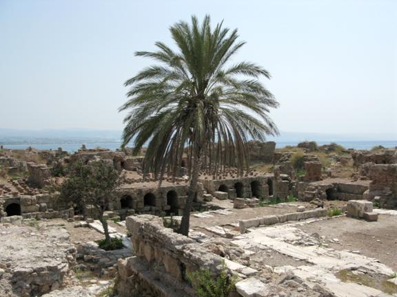 https://upload.wikimedia.org/wikipedia/commons/7/78/Al_Mina_site%2C_Tyre%2C_Lebanon.jpg