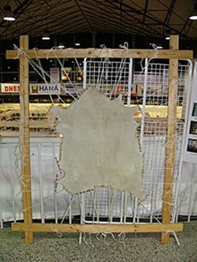 https://upload.wikimedia.org/wikipedia/commons/thumb/f/ff/Parchment_from_goatskin.jpg/220px-Parchment_from_goatskin.jpg