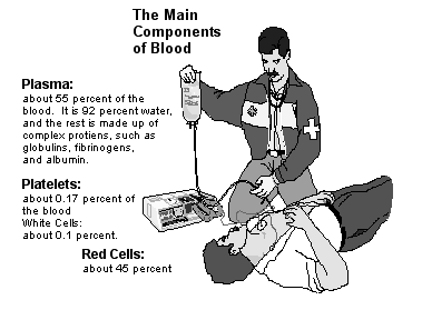 http://www.mmoutreachinc.com/jehovahs_witnesses/blood_new_light/transf