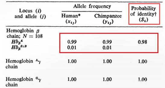 圖中作者表示人與黑猩猩NA相似度高達99%