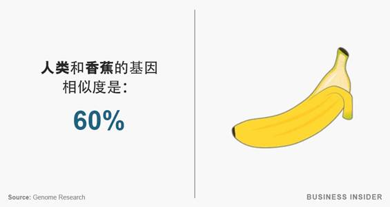 人類和香蕉的基因相似度