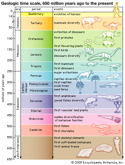 http://siriusknotts.files.wordpress.com/2008/09/falsegeotimescale.gif