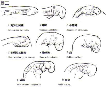 http://www.jiduzhijia.com/book/jinhua/img03/bio-img2.jpg